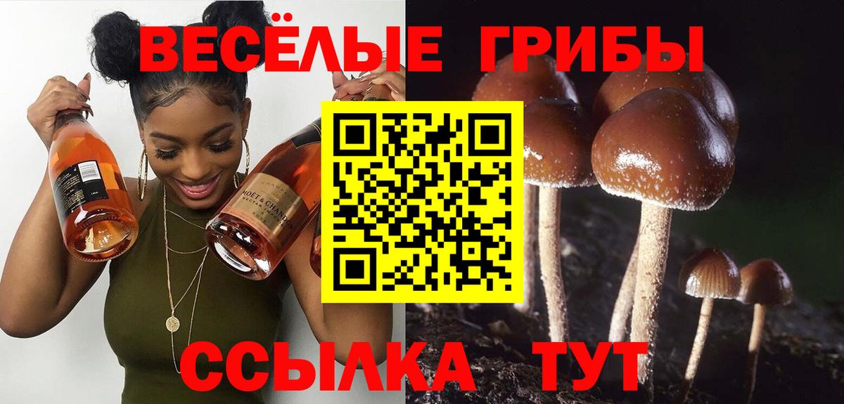 Галлюциногенные грибы прущие грибы  Вход с VPN  Кировск 